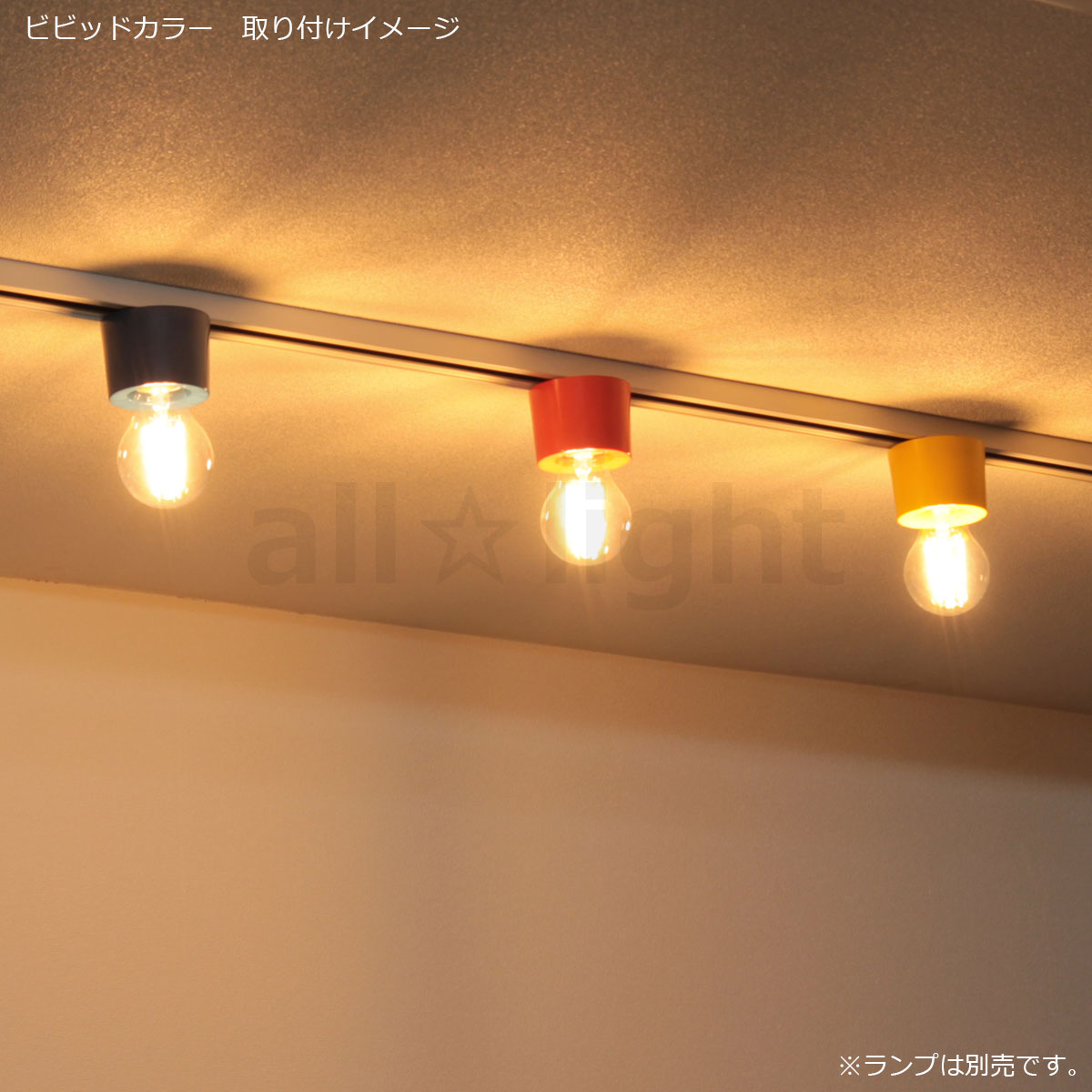 GrassyLeDiorX122 RF E26ソケットライト GrassyLeDiorX122 RF E26