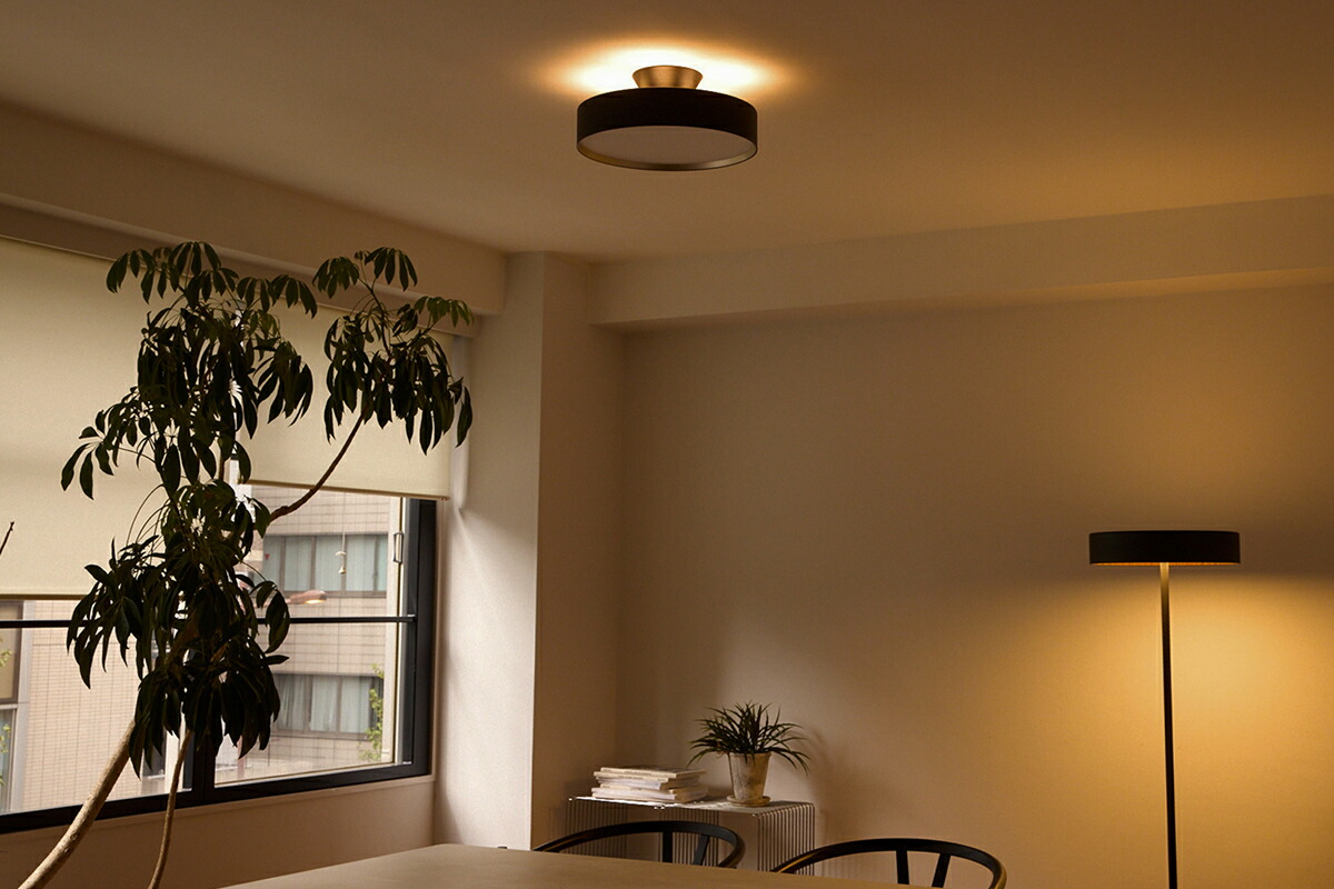 シーリングライト・天井照明 Glow LED-ceiling light /AW-0556E-BK/CGD