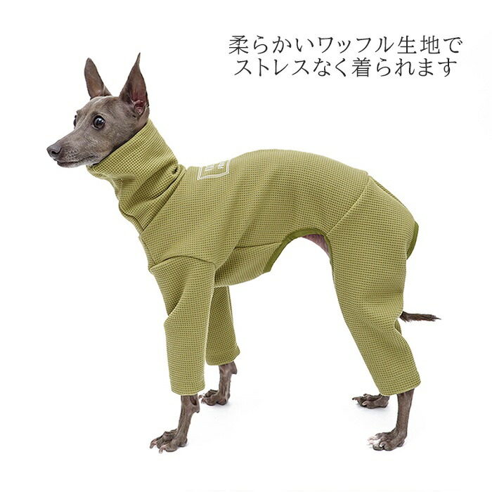 楽天市場】新作 イタリアングレーハウンド 服 イタグレ ワッフル生地