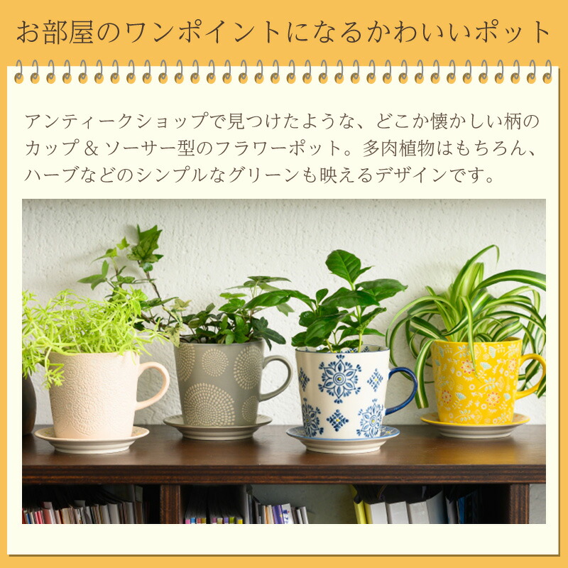楽天市場】フラワーポット 直径10cm 3号 カップ＆ソーサー 鉢底穴あり