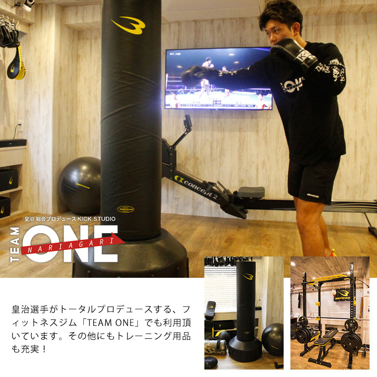 楽天市場】スタンディングバッグ BODYMAKER ボディメーカー スタンド型