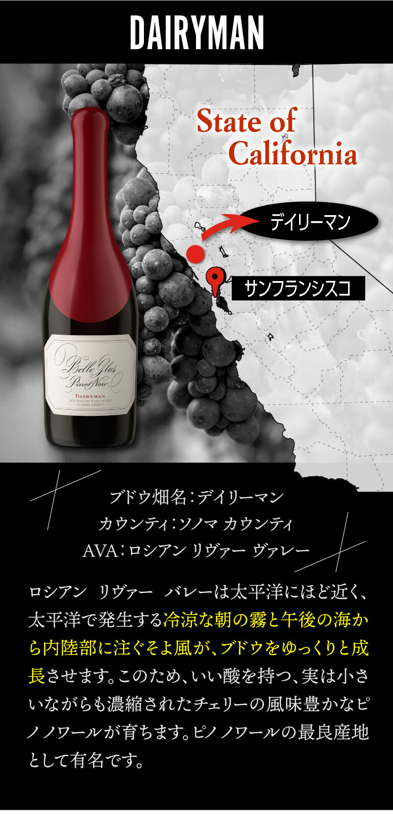 1本あたり6,600円(税込) 送料無料 ベル グロス ピノ ノワール 3本