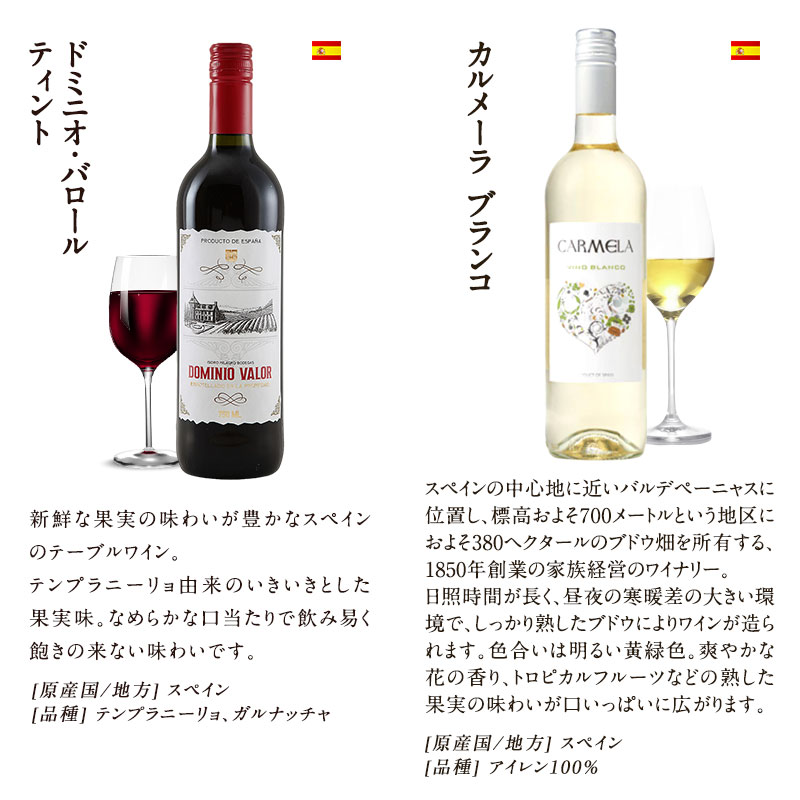 ヤマダモール | ソムリエ厳選 高品質 赤白泡ワイン MIX 10本セット