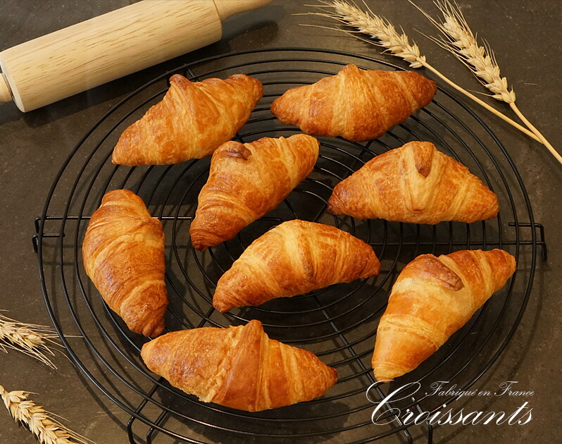 licca様 monsieur mini クロワッサン licca様 monsieur mini