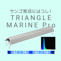 楽天市場】アクロ TRIANGLE LED GROW Pro 600
