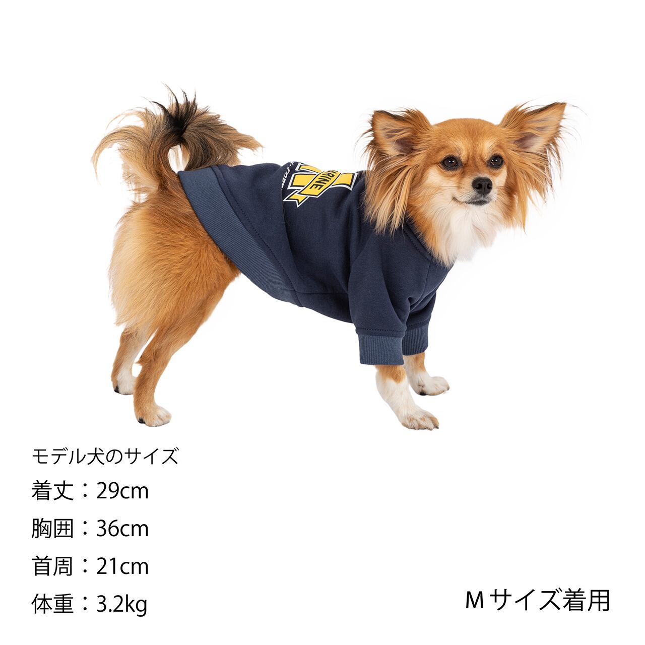 ⭐︎アトリエgg 犬服⭐︎