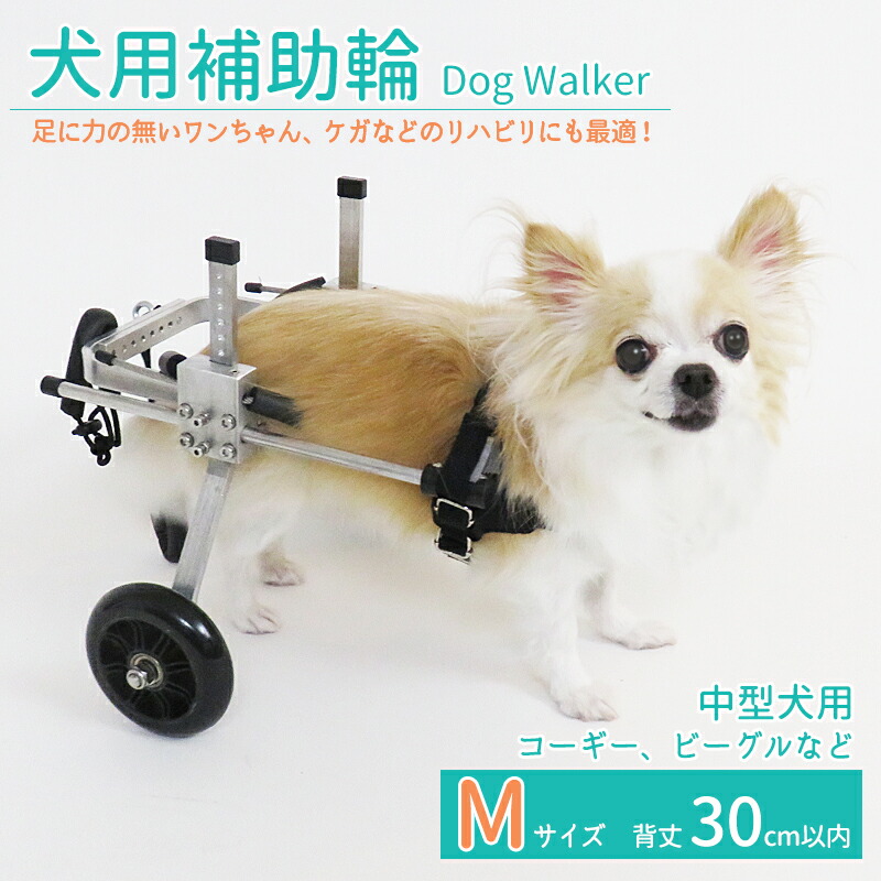 楽天市場】【2個で4%off☆SALE】犬用補助輪 Mサイズ 犬用車椅子 中型犬