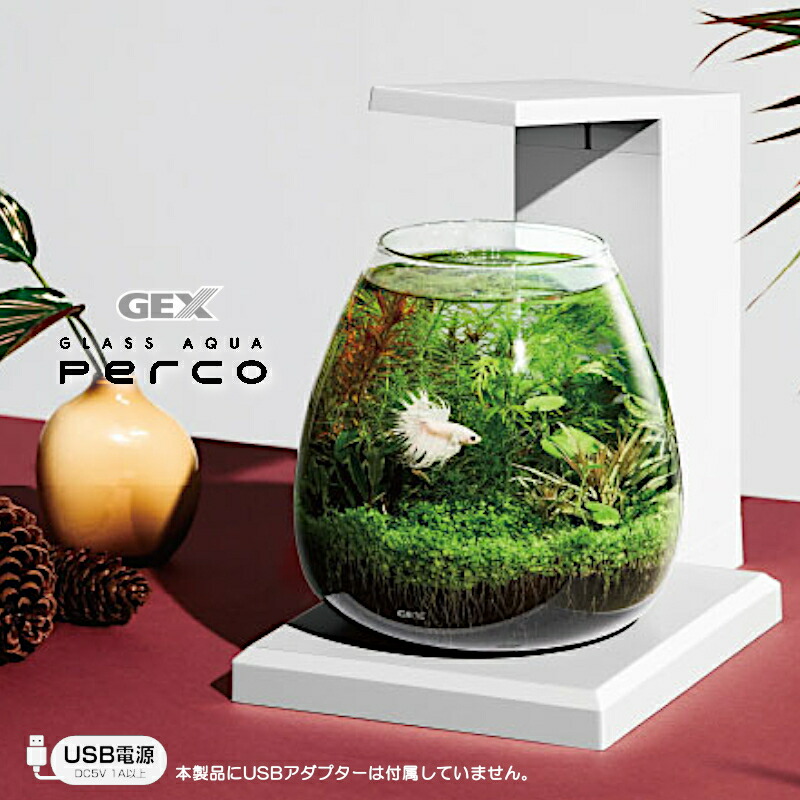 楽天市場】【水槽セット】PERCO 熱帯魚 水槽セット グラスアクア C