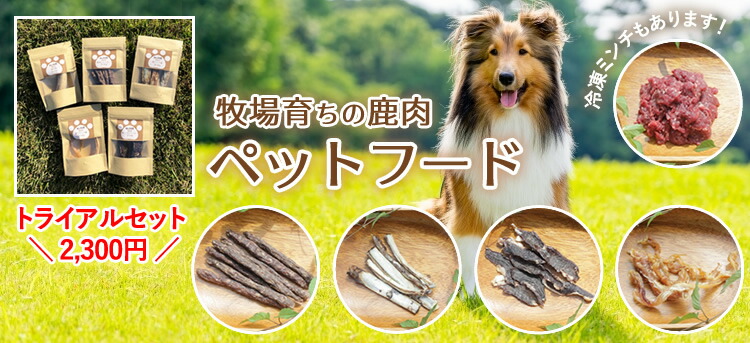 楽天市場】 鹿の袋角とは : 鹿の角本舗 楽天市場店