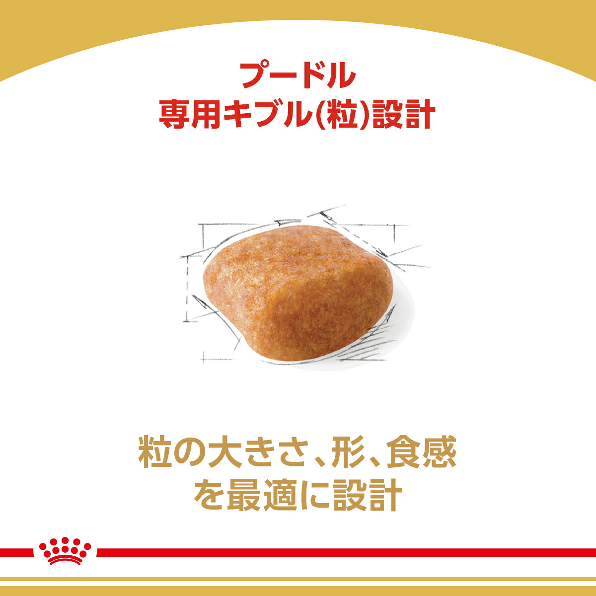 楽天市場】【賞味期限:2027/3/6】[ 正規品 送料無料 ] ロイヤルカナン