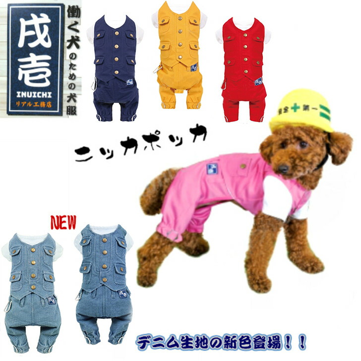 楽天市場】犬服 戌壱 ニッカポッカ パピー 超小型犬 1号 小型犬 中型犬