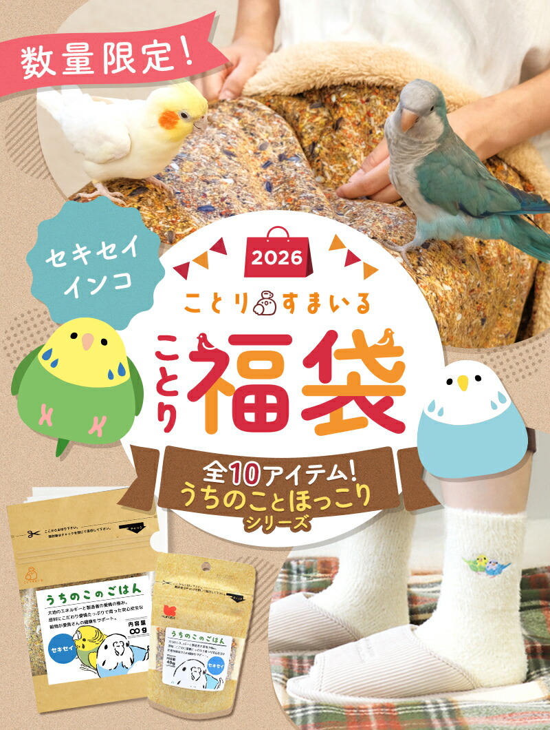 楽天市場】＼数量限定／ことり福袋2026☆うちのことほっこりシリーズ