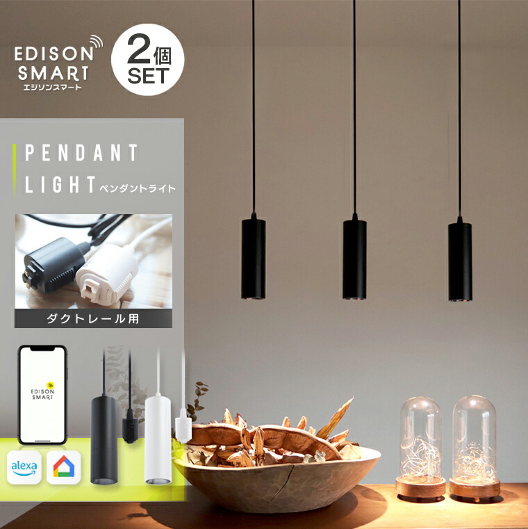 メルダクトレール用LEDライト25個セットASE940195黒 メルダクトレール