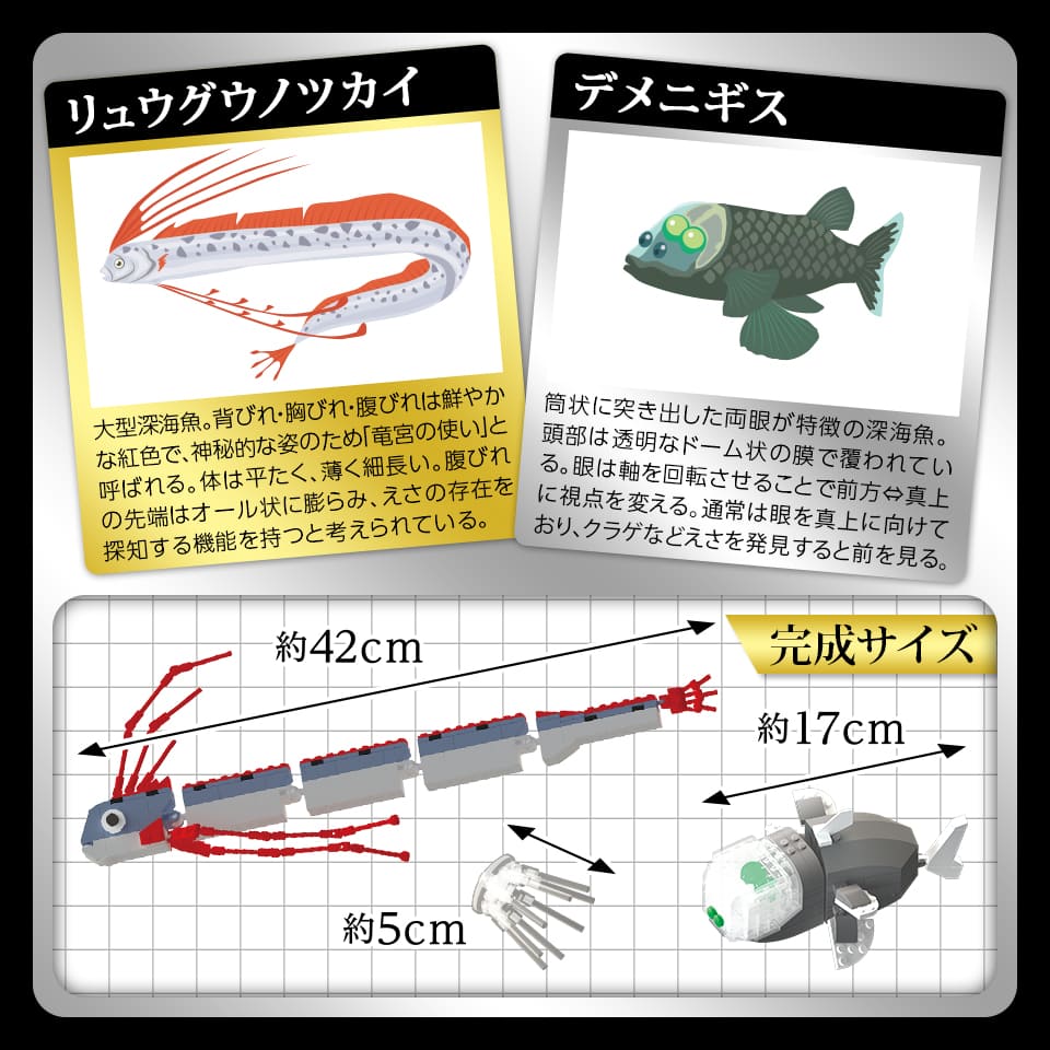 楽天市場】立体パズル リュウグウノツカイ & デメニギス 深海魚