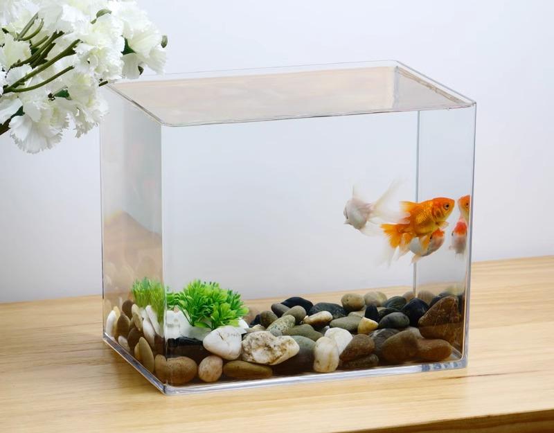 楽天市場】水槽 60cm 25cm 30cm 35cm 40cm 50cm 小型 大型 透明 カバー