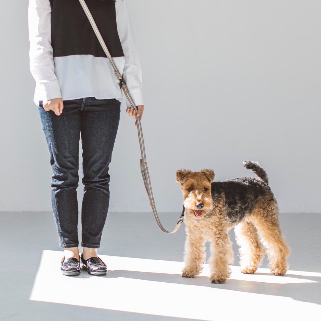 犬用　リード＆ハーネス【本革】original BLACK STUTS❣️ 犬用 リード＆ハーネス【本革】original BLACK STUTS❣️ 【公式通販】