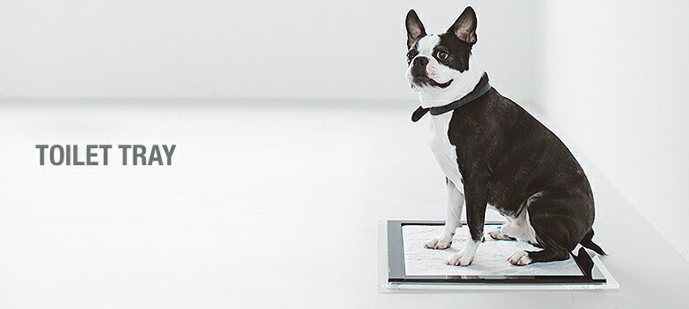 【FREE STETCH】犬用トイレ 黒色 Mサイズ アクリル トイレトレイ - ドッググッズ・猫グッズ通販 free stitch