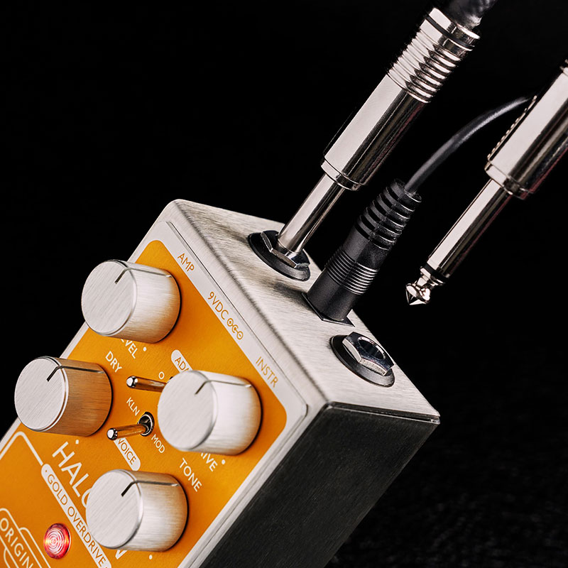 ORIGIN EFFECTS Halcyon Gold Overdrive 限定