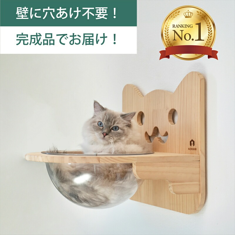楽天市場】壁掛け 猫ボウル キャットステップ 穴あけ不要 完成品