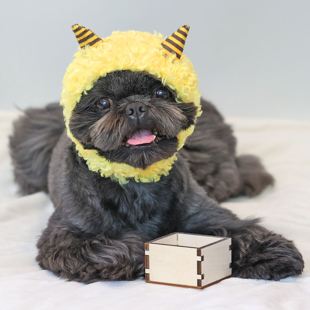 卸売】iDog 鬼さんスヌード アイドッグ|ペット 犬 服 | 犬服 犬グッズ