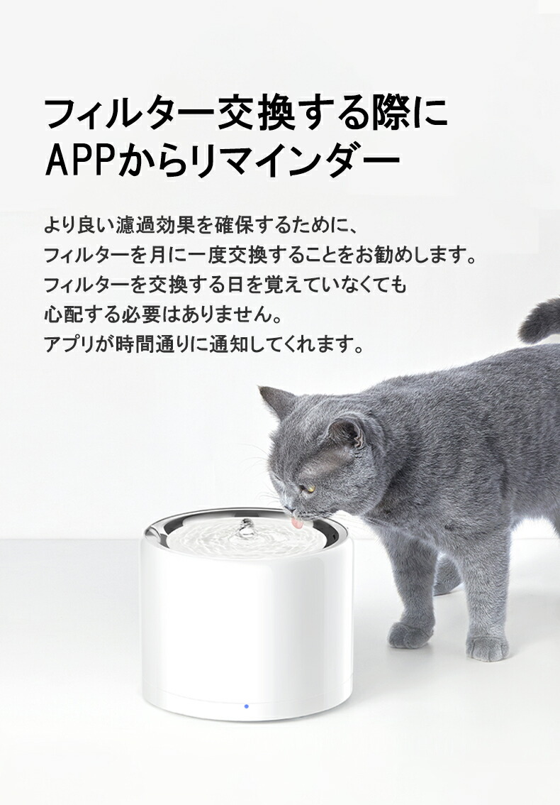 楽天市場】自動給水器用交換フィルター3.0 5個セット : KYOTO PET SUPPLIES