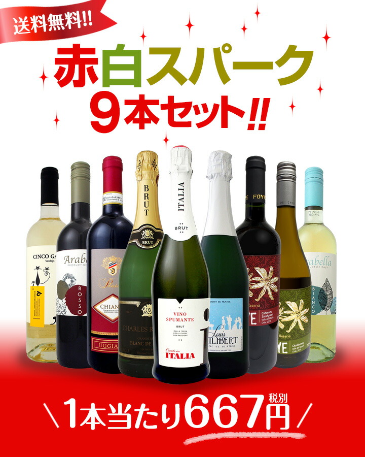 ミックスワインセット【送料無料】デイリーワインの決定版！赤ワイン白