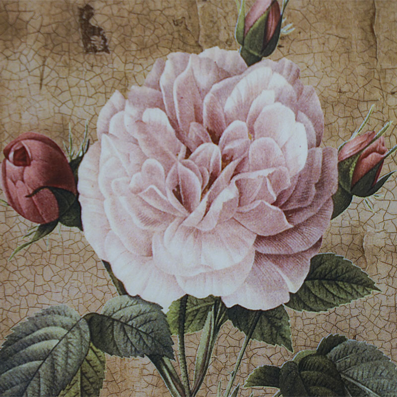 楽天市場】絵画 インテリア 額入り イタリア製 薔薇 バラ ローズ