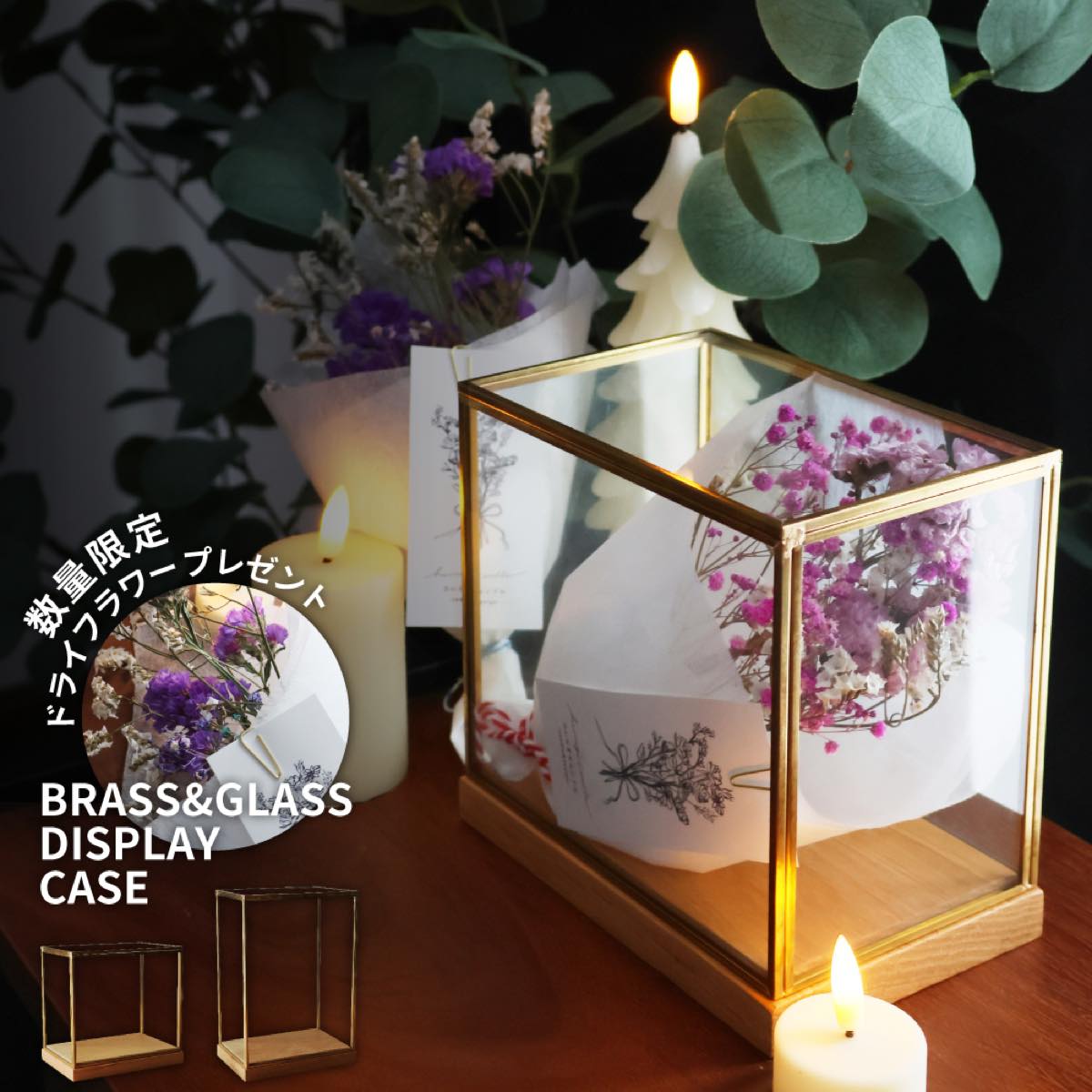 楽天市場】MAX P20倍 555円OFF レビュー特典あり ディスプレイケース