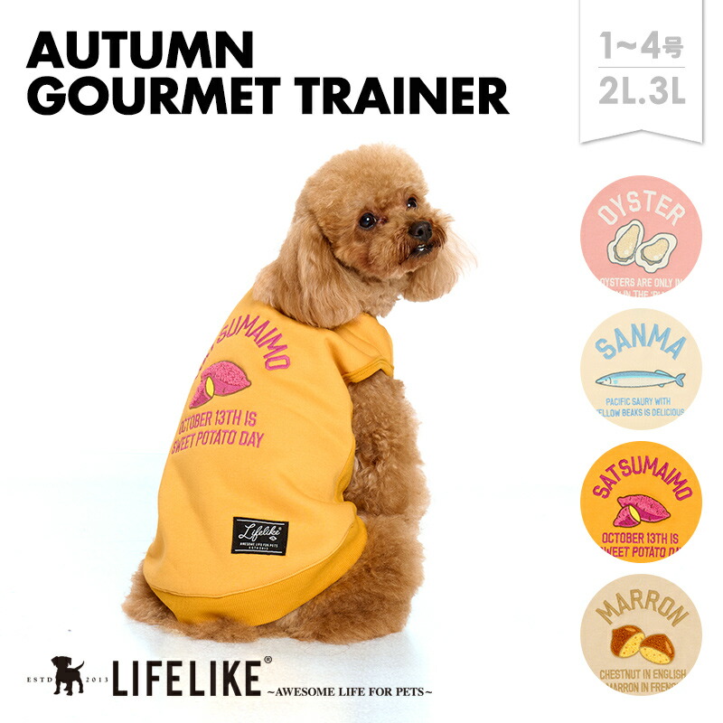 楽天市場】【オータムグルメトレーナー1-4号2L-3L】犬 服 秋 冬 食べ物