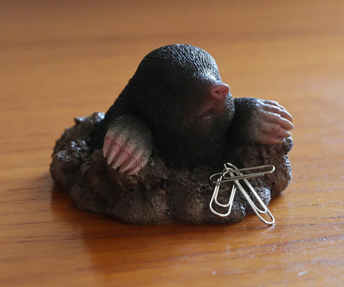 楽天市場】オブジェ FOREST MAG モグラ マグネット付き （ クリップ