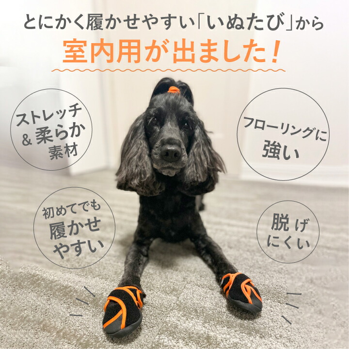 楽天市場】犬 くつ 室内用 [いぬたび] 犬たび [犬靴 初心者向け!] 犬