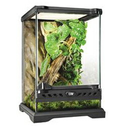 楽天市場】【全国送料無料】GEX エキゾテラ グラステラリウムPRO 3030