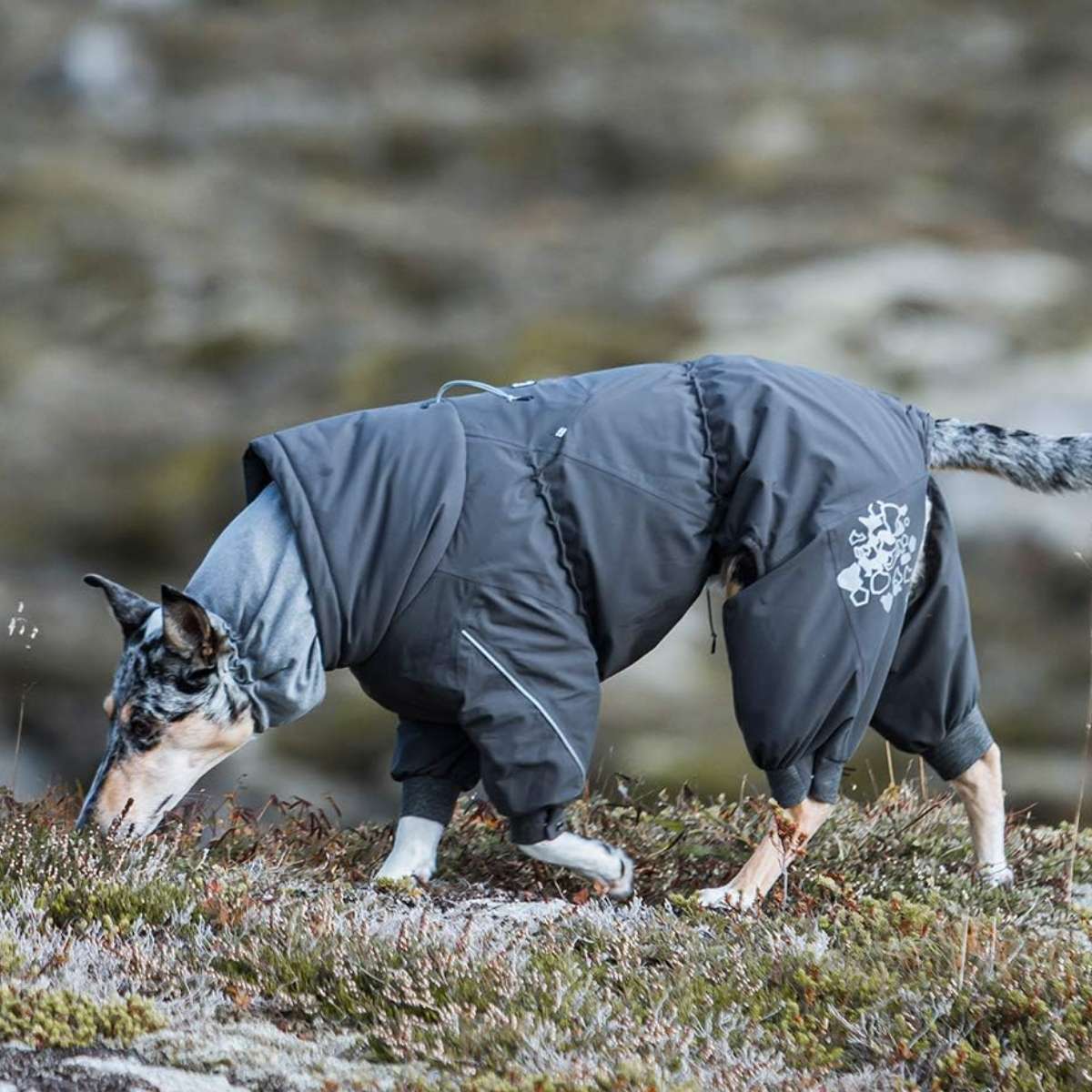 楽天市場】【Hurtta フルッタ】エクストリームオーバーオール 25S/30S