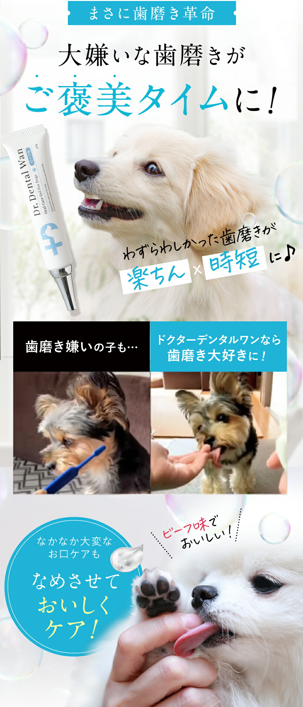 楽天市場】ドクターデンタルワン 30g 1ヶ月分 犬 歯磨き 歯磨きジェル