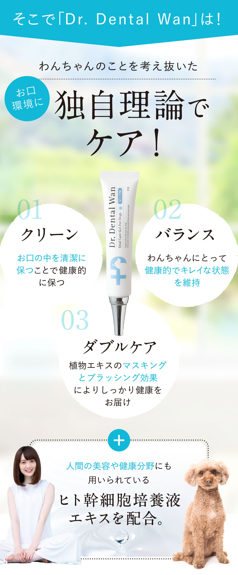 楽天市場】ドクターデンタルワン 30g 1ヶ月分 犬 歯磨き 歯磨きジェル