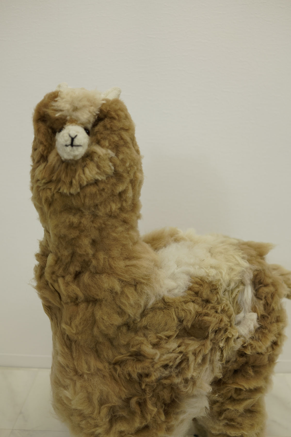 楽天市場】アルパカ ぬいぐるみ 特大 大サイズ Lサイズ人形 置物