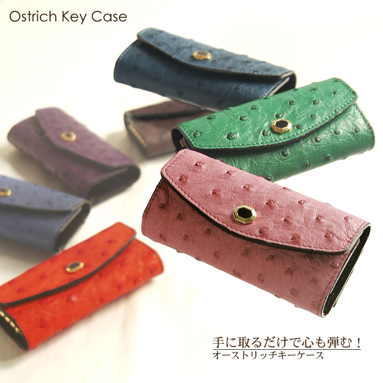 楽天市場】【10%offクーポン】日本製 オーストリッチ 5連 キーケース