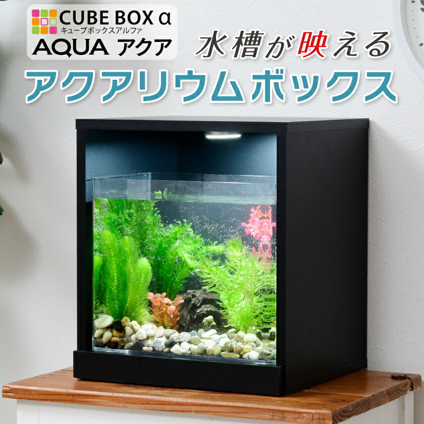 CBA ｱｸｱ 水槽ｾｯﾄ 増設用 アクア CUBE BOXα