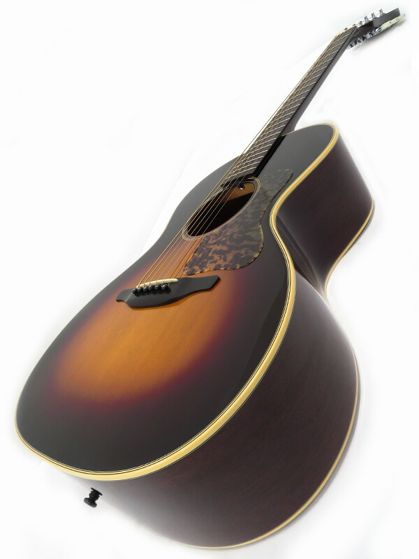 VG】ブイジー『アコースティックギター』VG-00T エレアコギター 1週間