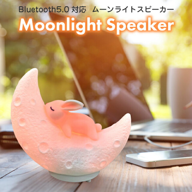 ml-speaker-01b.jpg