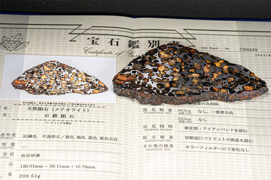 ケニア・セリコ パラサイト隕石を鑑別してみました