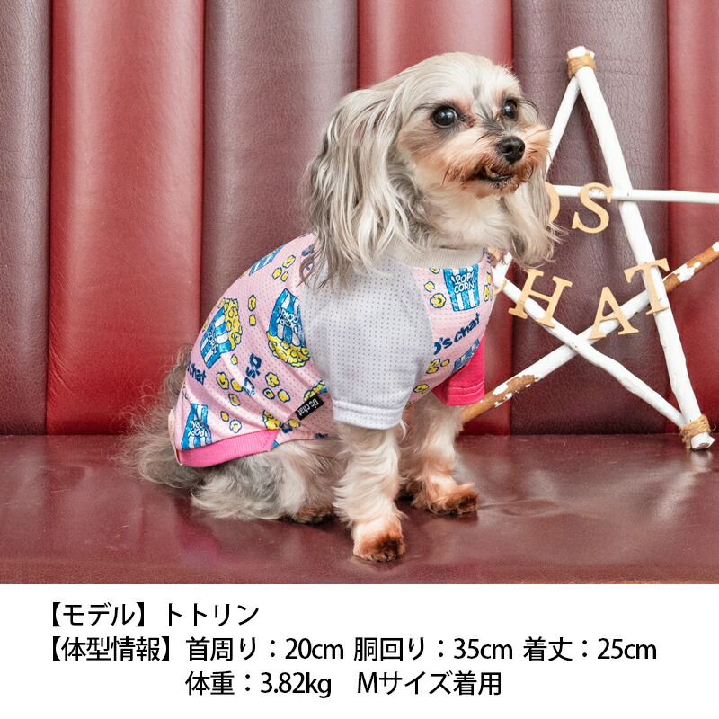 犬服ハンドメイド ポップコーンミントスカート付きSサイズ
