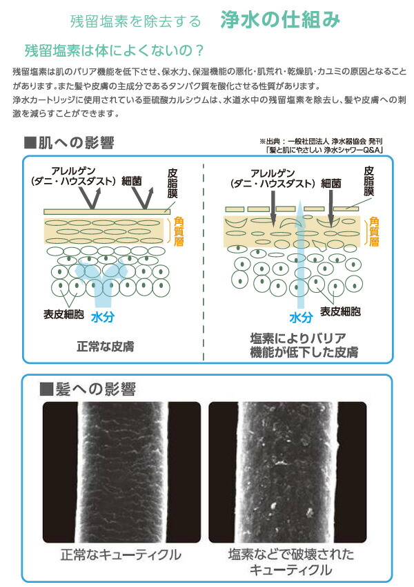 ユアサプライムス.com｜SANEI 塩素除去 浄水シャワーヘッド用 交換