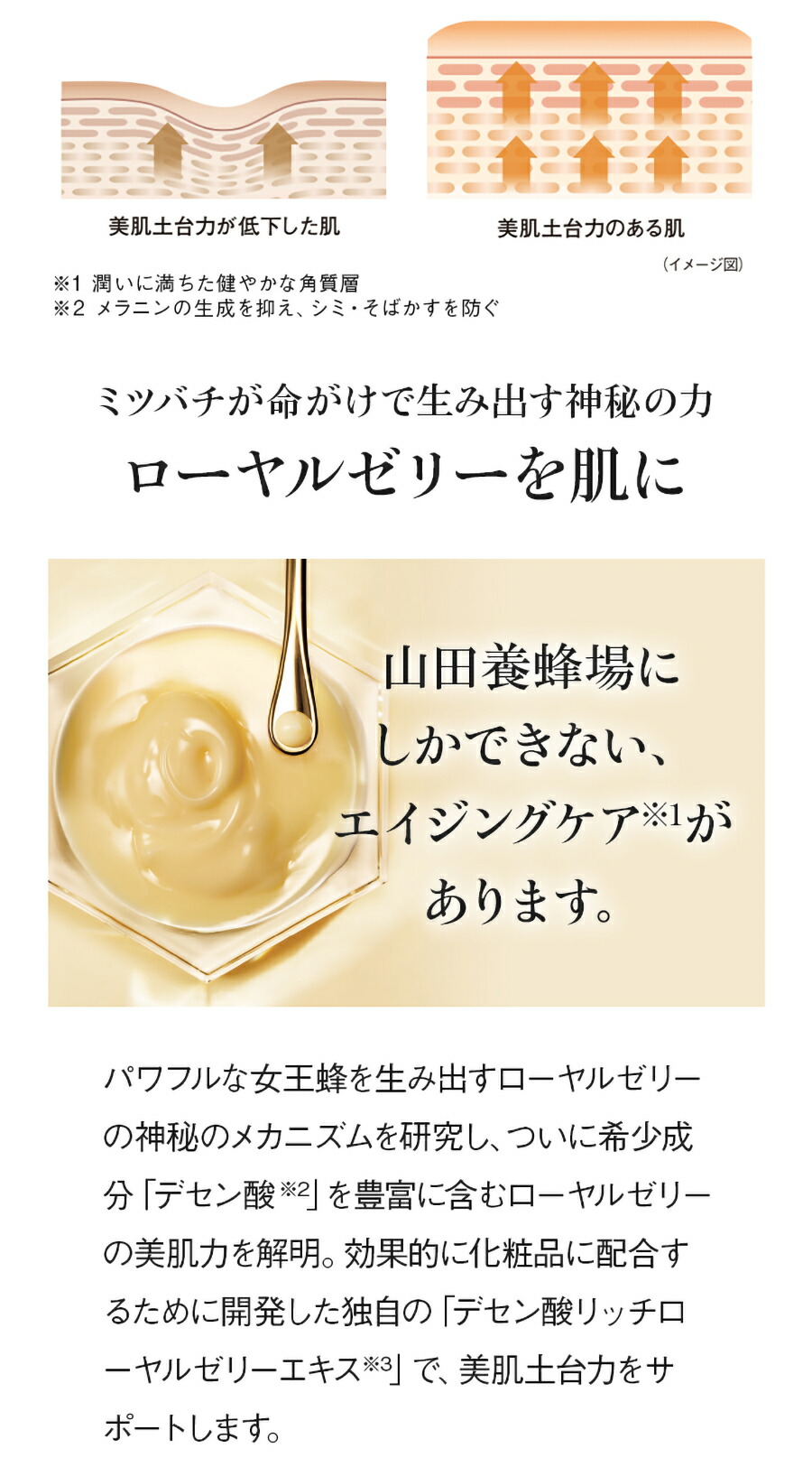 楽天市場】【山田養蜂場】RJエクセレント3点セット 薬用 医薬部外品