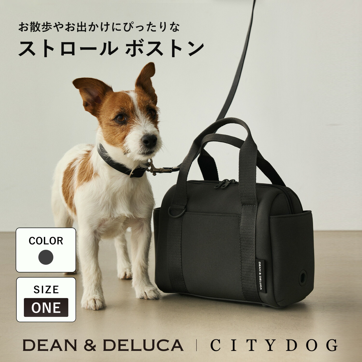 楽天市場】犬 散歩バッグ 斜めがけ ｜ 散歩 ショルダー ショルダー