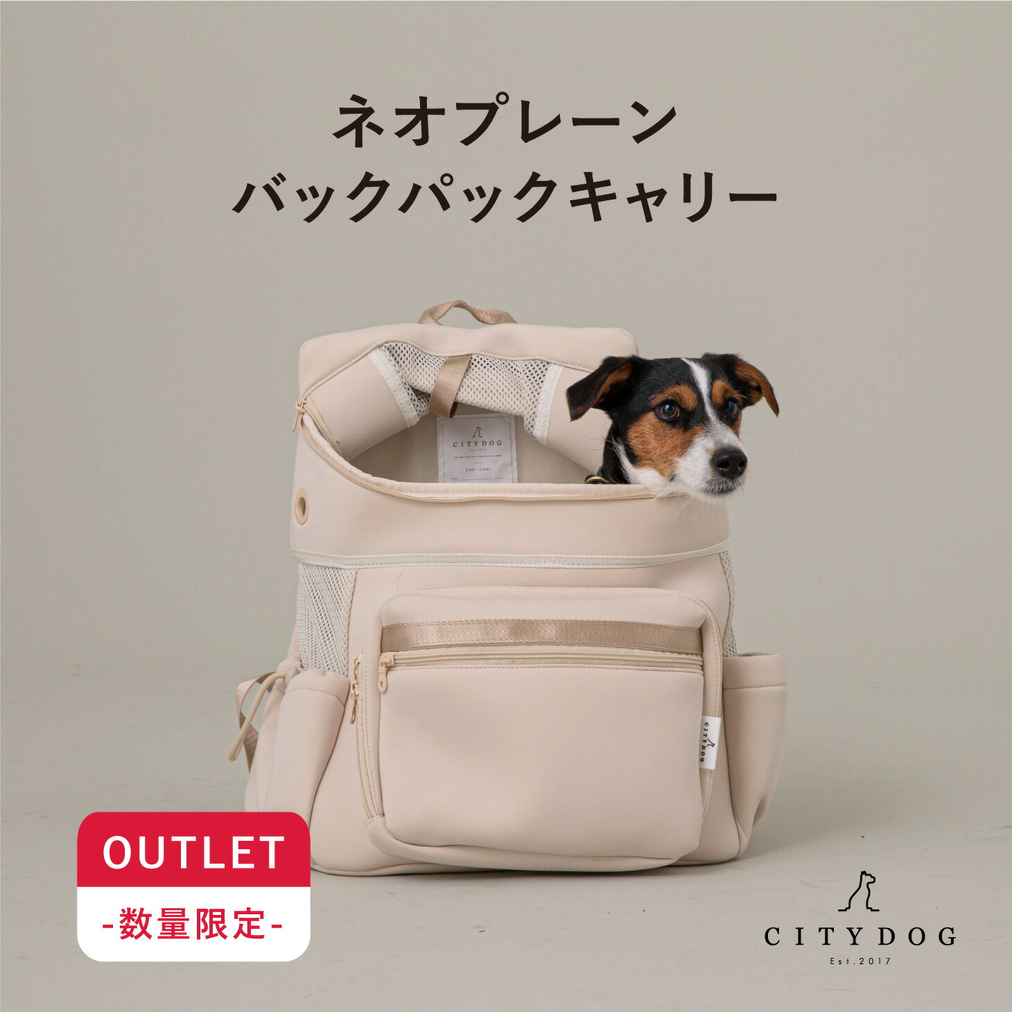 楽天市場】☆アウトレット☆ 犬 リュック バッグ ｜ 猫 犬用 キャリー