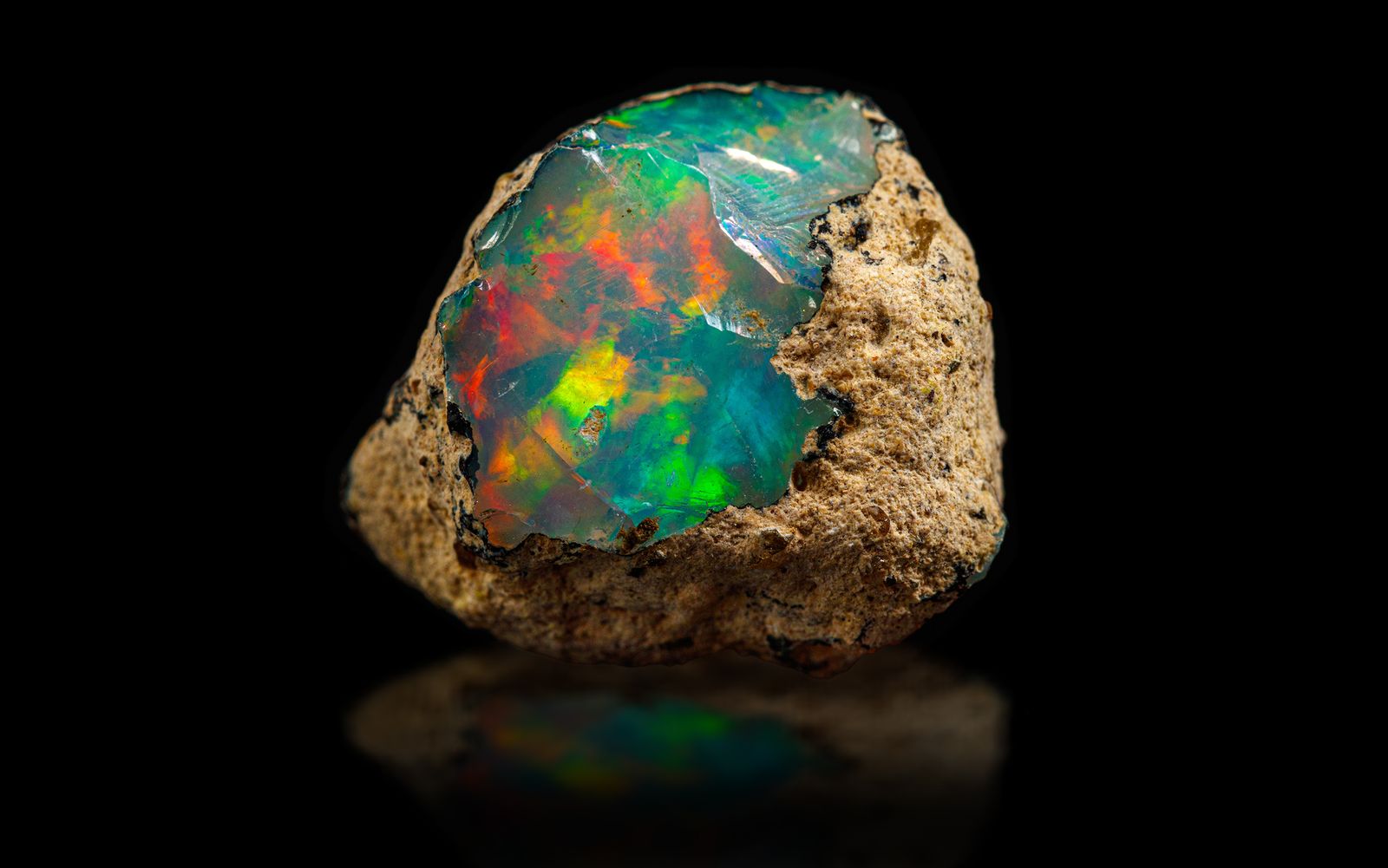 幻想的な七色の光を放つプレシャスオパール | 魅惑の輝きの秘密を解説