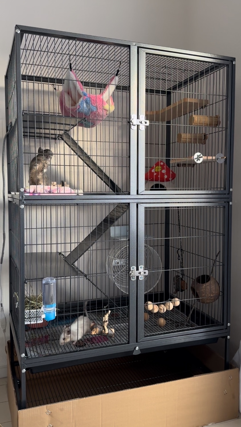 4階建て大型ケージ ケージ フェレット チンチラ