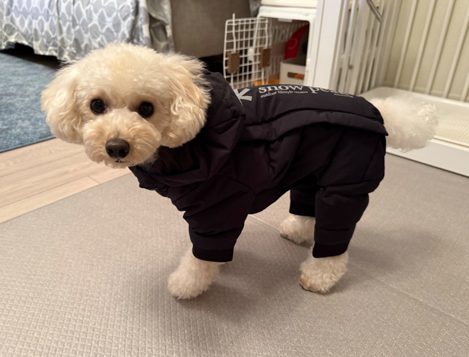 SP Dog Down Jacket Lサイズ Snow Peak 【公式通販】