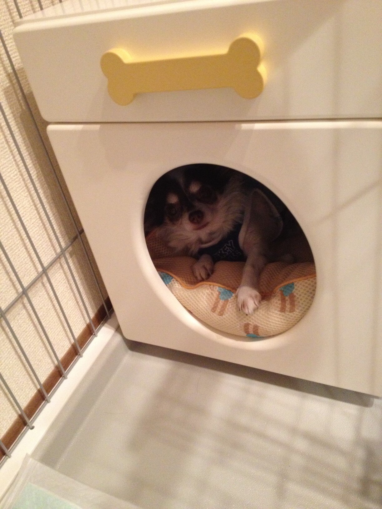 未使用☆冷暖房 ペットハウス オアシス 横置き型 犬 猫